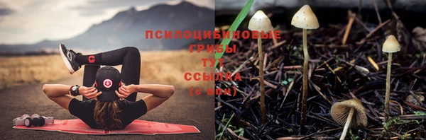 мдпв Верхний Тагил