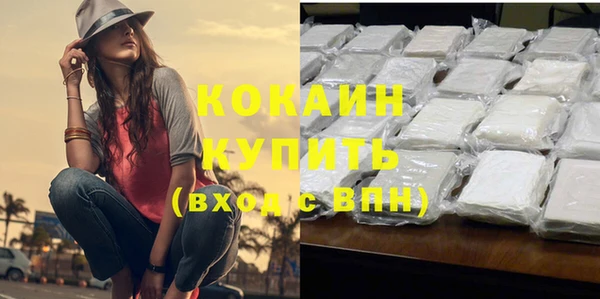 мдпв Верхний Тагил